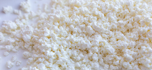 Fresh milk curd as background.
