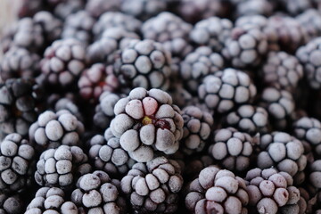 berries of a blackberry