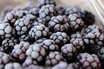 blackberries close up