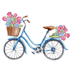 Watercolor illustration with blue bicycle and tulips bouquet isolated on the white background. Hand painted watercolor clipart. - 470054829