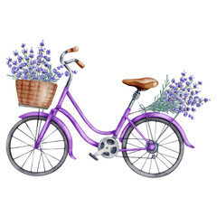 Watercolor illustration with purple bicycle and lavander bouquet isolated on the white background. Hand painted watercolor clipart. - 470054832