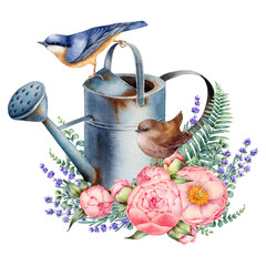 Watercolor illustration with watering can, sparrow and tit bird, lavender and roses, isolated on the white background. Hand painted watercolor clipart. - 470054846