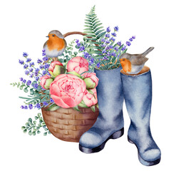 Watercolor illustration with basket, rubber boots, lavender and roses, robin birds, isolated on white background. Hand-drawn watercolor clipart. - 470054848