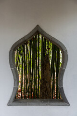Window on wall with view to trees