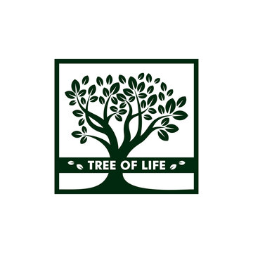 tree of life design vector illustration, tree logo design