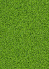 3D Green grass