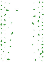 Green Leaf Background White Vector. Leaves Branch Frame. Bio Design. Greenish Garden Illustration. Plant Template.
