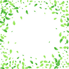 Fototapeta premium Green Sheet Background White Vector. Leaf Vibrant Design. Environment Illustration. Light Green Flavor Frame. Plant Fresh.