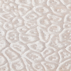 Wood veneer style, beautiful appearance of natural patterns.