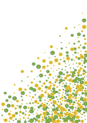 Yellow Citrus Background White Vector. Lime Summer Decoration. Green Nature Lemon. Bright Wallpaper Pattern.