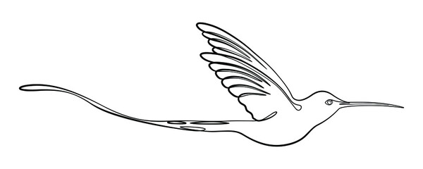 Hummingbird one-line design. Hand-drawn minimalism style vector illustration isolated on a white background.