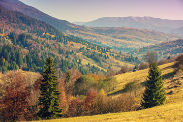Mountain landscape in the autumn morning. Beautiful nature landscape. Carpathian mountains. Ukraine