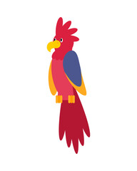 Parrot isolated cartoon. Talking bird for pirate. vector illustration