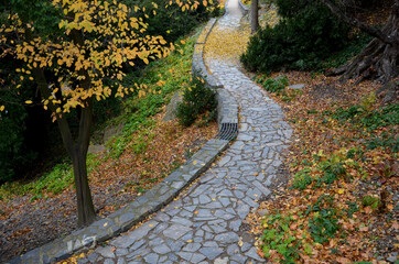 Fototapeta na wymiar road cut into the slope. above and below the road is a stone dry wall. nature trail through the autumn park with a drain and a metal grid. slopes overgrown with drought perennials yellow, yew, boulder