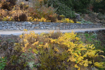 road cut into the slope. above and below the road is a stone dry wall. nature trail through the autumn park with a drain and a metal grid. slopes overgrown with drought perennials yellow, yew, boulder