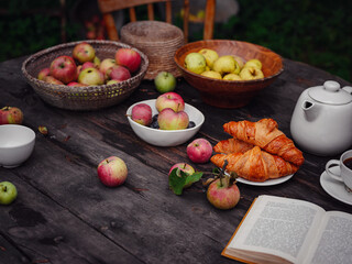 beautiful autumn still life in apple orchard, old wooden table with mug and teapot, apples and plums, croissants and open book , idea and concept of harvesting, abundance and autumn lifestyle