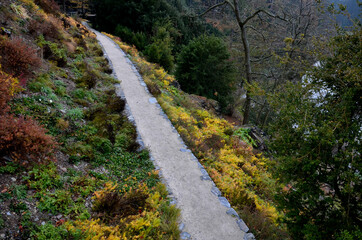 Obraz premium road cut into the slope. above and below the road is a stone dry wall. nature trail through the autumn park with a drain and a metal grid. slopes overgrown with drought perennials yellow, yew, boulder