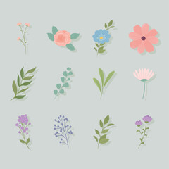 set of flowers and leaves