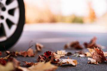 Car on asphalt road on autumn day at forest or park.Selective focus,copy space.Toned.
