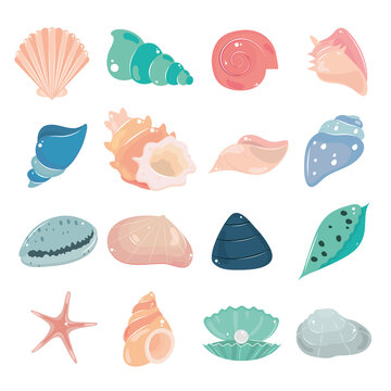 set of seashells