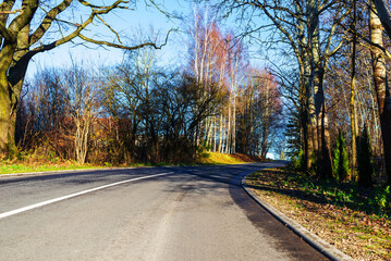 Fototapeta na wymiar Beautiful scenic empty road in the fall.winding road curves through autumn trees landscape.
