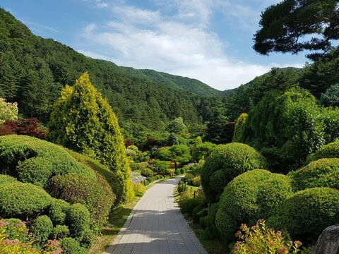 Korea Gyeonggi-do Gapyeong, arboretum view