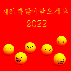 2022,"새해 복 많이 받 으 세 요"means“happy new year”