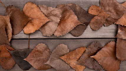 Lots of orange autumn leaves on the wooden. Top view