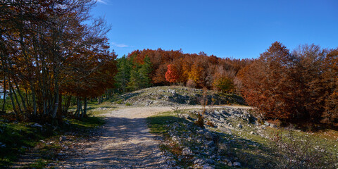 Fototapeta premium Walking path in the autumn at Monte Livata, Monti Simbruini Natural Regional Park 