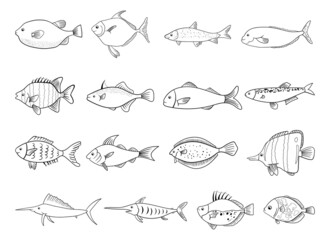 Fish drawing vector design illustration isolated on white background