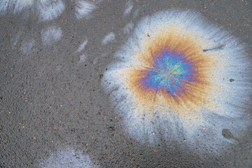 Gasoline rainbow spot on wet the asphalt - flower of pollution. 