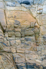 Shiny colorful wet rock  on a low tide