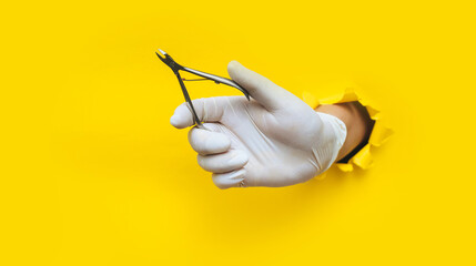 A man's hand in a white medical glove holds a nipper (scissors) for a pedicure and manicure.Yellow paper background with a torn hole in yellow paper.The concept of a master nails of people and animals