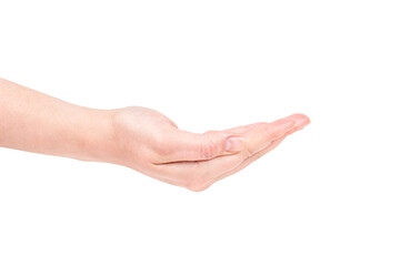 Caucasian woman hands holding something isolated on white background.
