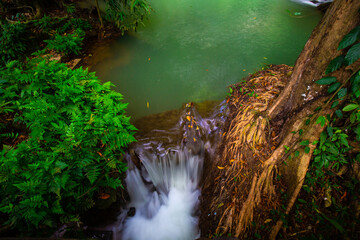 Cascade river in green tree tropical rainforest turquoise water