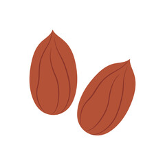 Peanuts are a nut, the core is brick-colored. Vector illustration isolated on white background for website design of products, applications, printing