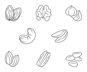 Nuts are different types of a set of contour icons. Vector linear illustration isolated on a white background for website design of products, applications, printing