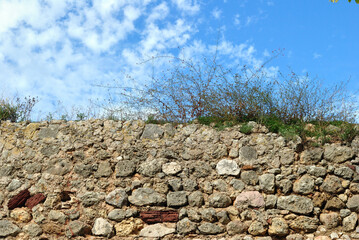Ancient Stone Wall with Plants seen from Below against Blue Sky 