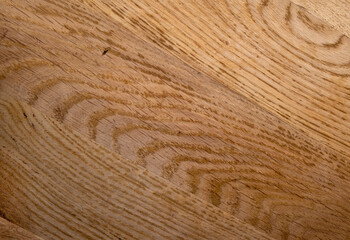wood background with wood texture close up