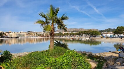 Blick auf Port de Alcudia
