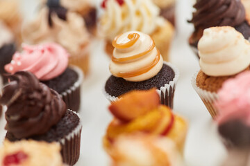 Small decorated cupcakes for children's birthday party