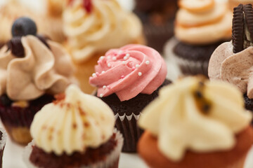 Lots of different cupcakes with decorations and toppings