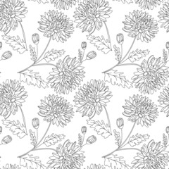 Seamless pattern with black outlined chrysanthemum flowers, buds, and leaves on white isolated background.