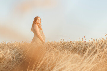 beautiful young pregnant woman walks on wheat field at sunset, expectant mother with relax in nature stroking her belly with hand, happy pregnancy concept