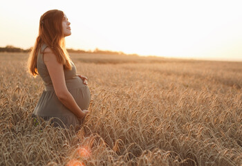 beautiful young pregnant woman on wheat field at sunset looks up with gratitude , expectant mother...