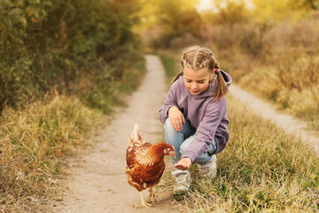 Farm animal. Cute little girl feeding chicken in countryside © New Africa