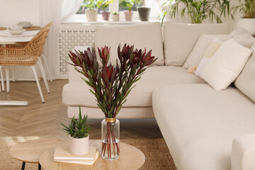 Beautiful plants on table near sofa in living room. Interior design