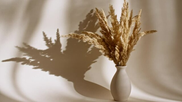 Golden dried flowers are in a vase. The movement of Spikelets in the wind. Sunlight soft light and shadows from the transparent curtain, tulle. Space for text. 4k. High quality 4k footage
