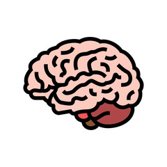 brain anatomy organ color icon vector. brain anatomy organ sign. isolated symbol illustration