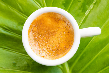 View from above, top view of a creamy espresso in a white ceramic coffee cup on a green leaf.